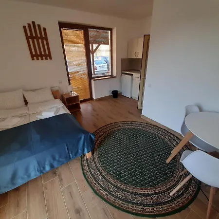 Gmitrovic Apartment